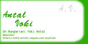 antal voki business card
